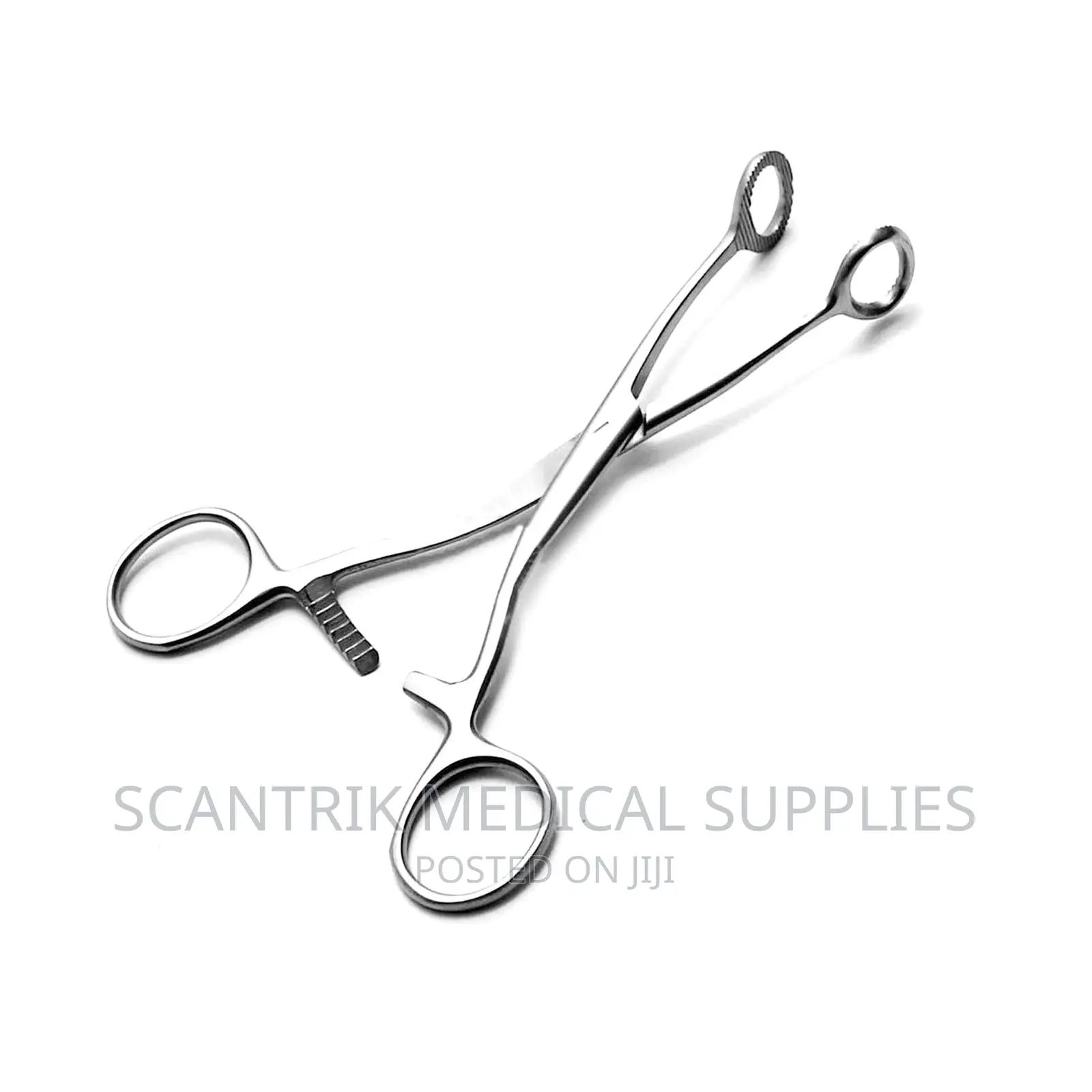 Tongue Holding Forceps