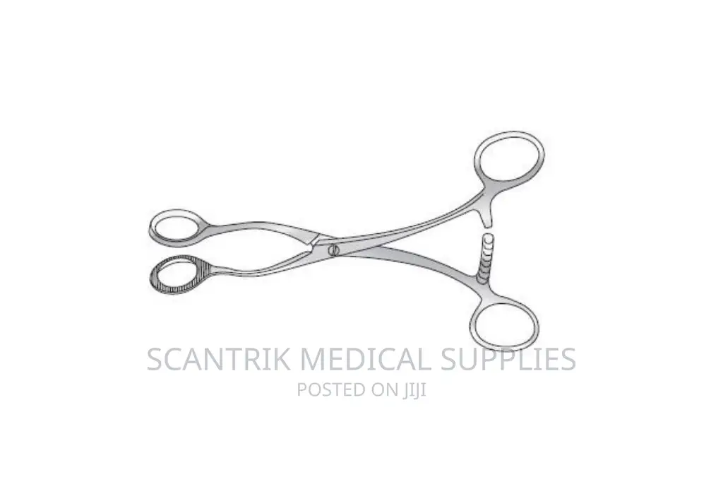 Stainless Steel Tongue Holding Forceps 19cm