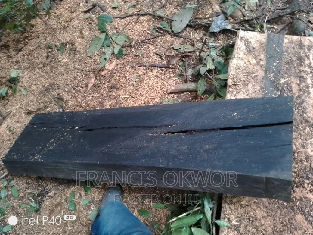 Black Ebony Wood for Sale