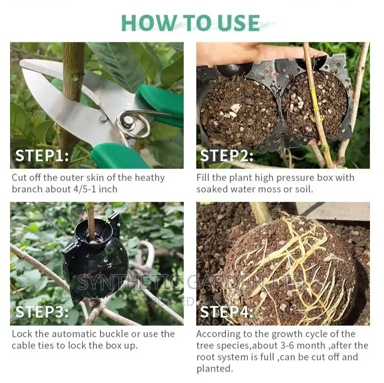 Plant Rooting Growing Box