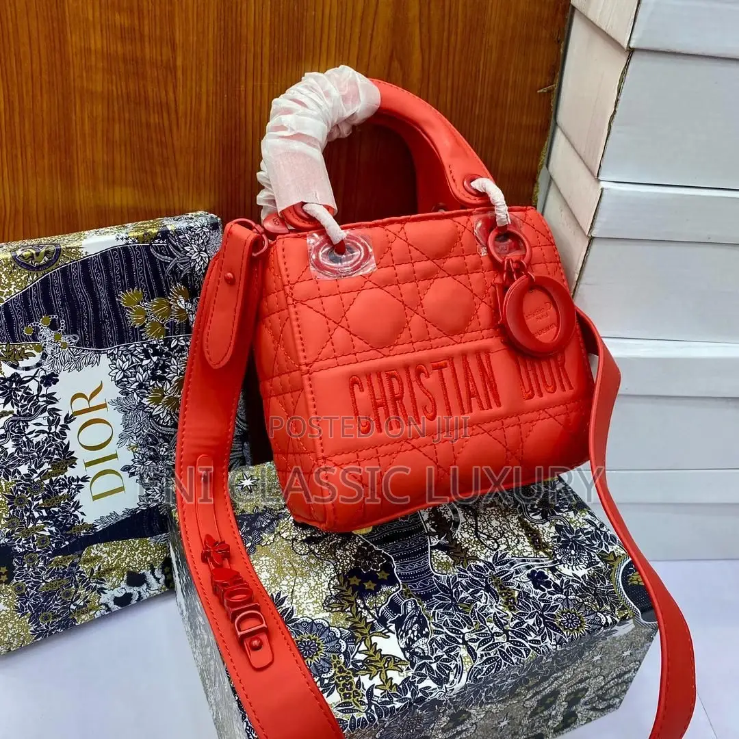 Christian Dior Luxury Bags for Women Available in Store
