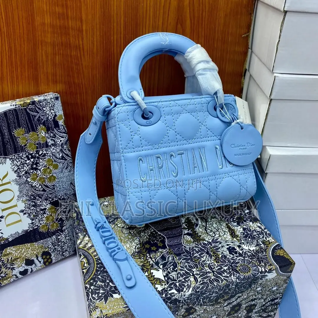Christian Dior Luxury Bags for Women Available in Store