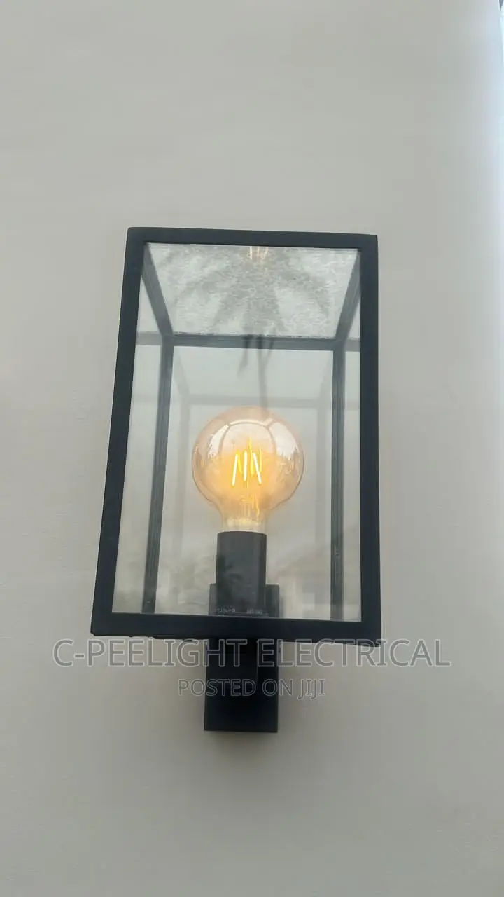 LED Filament Bulb