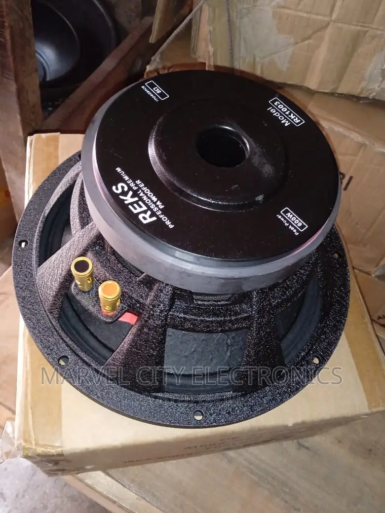 Original 10”Naked Speaker (Rk1003)