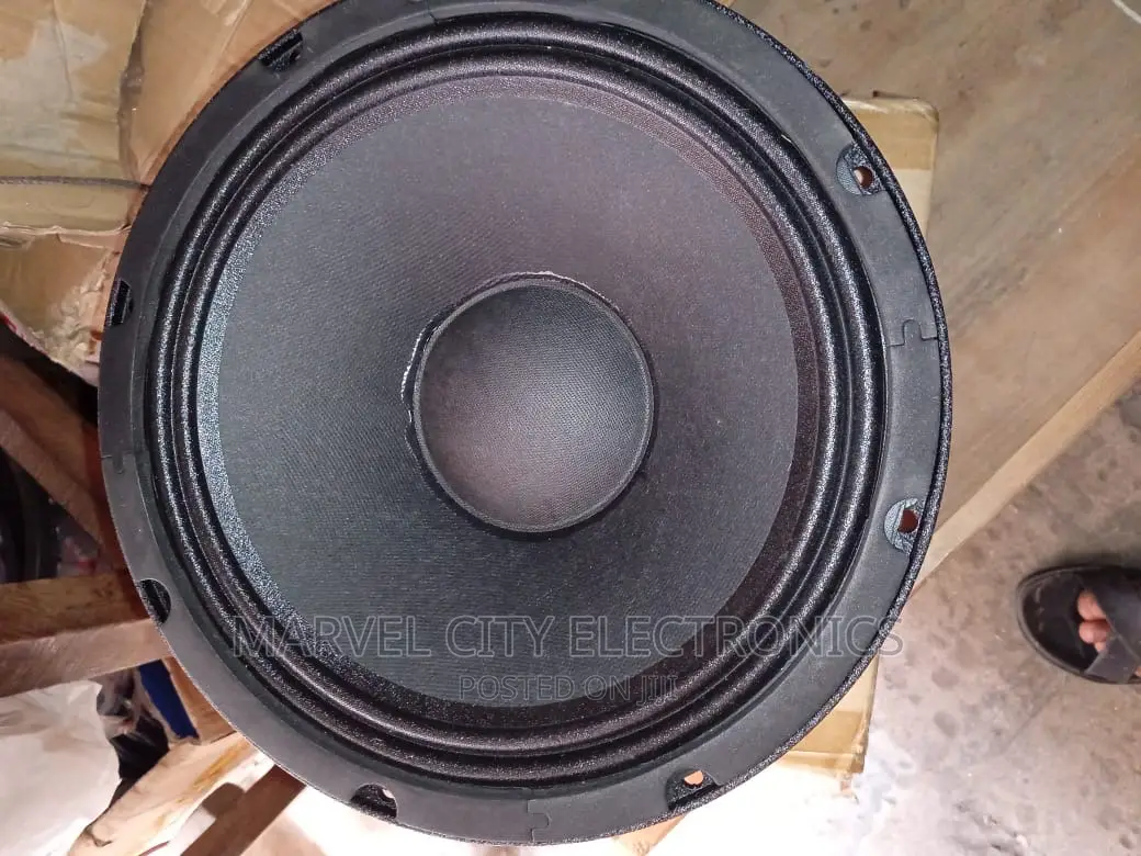 Original 10”Naked Speaker (Rk1003)