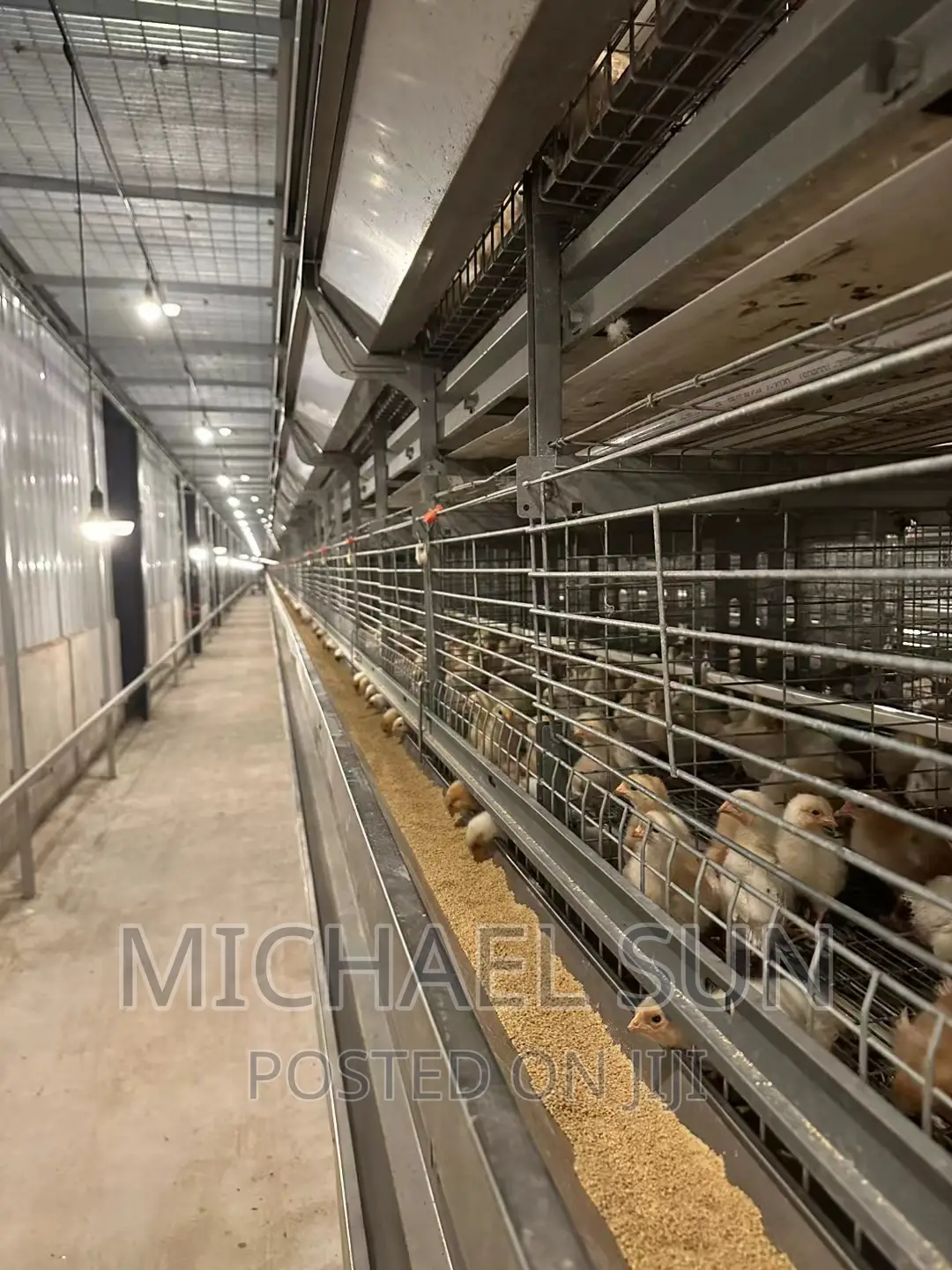Battery Cage Poultry Cage