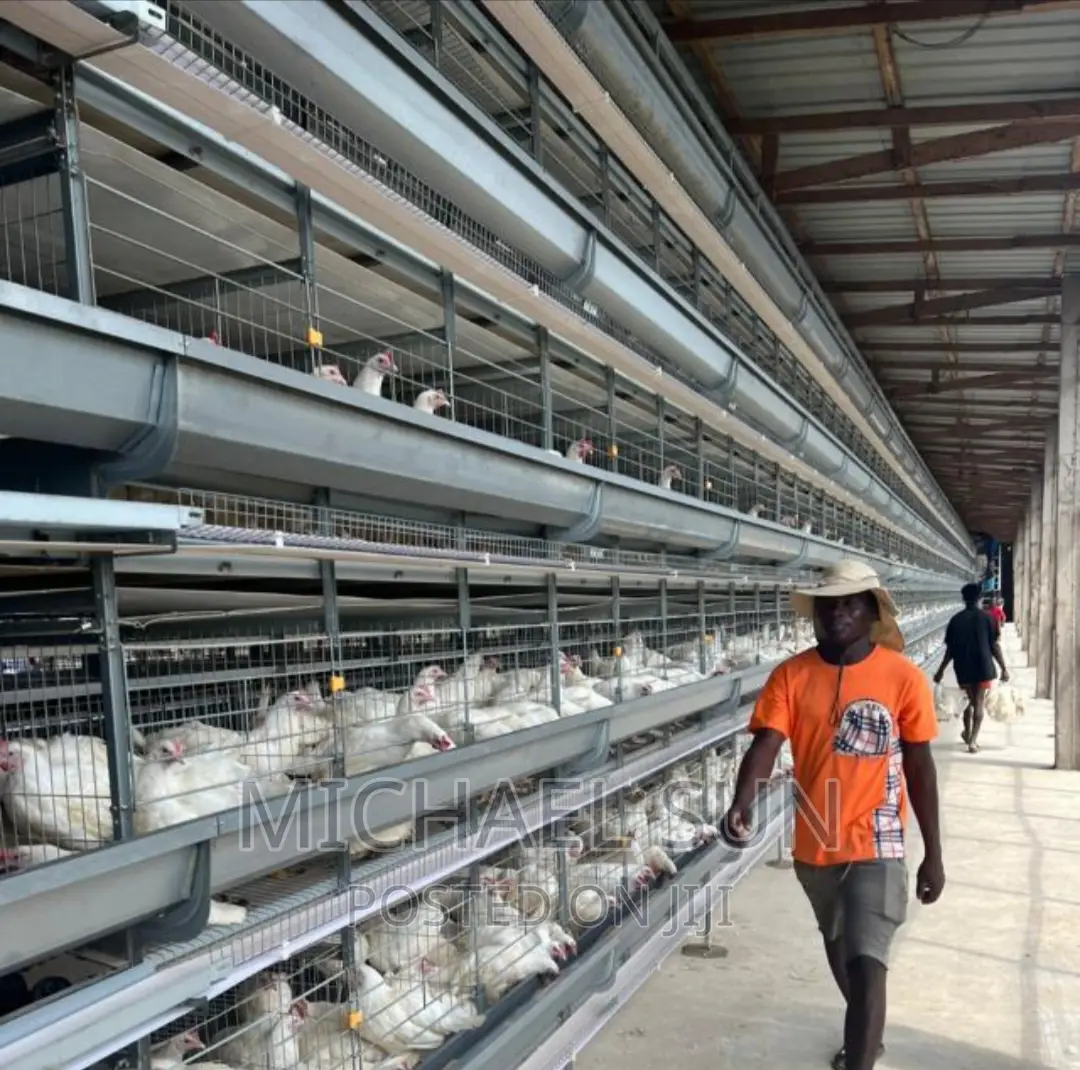 Battery Cage Poultry Cage