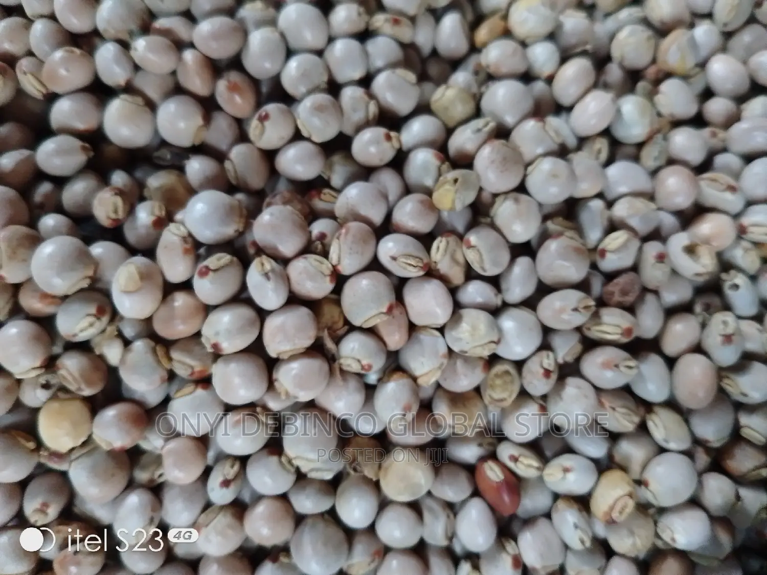 Fio-fio Local Beans (Pigeon Peas) Agbugbu Per Derica Cup