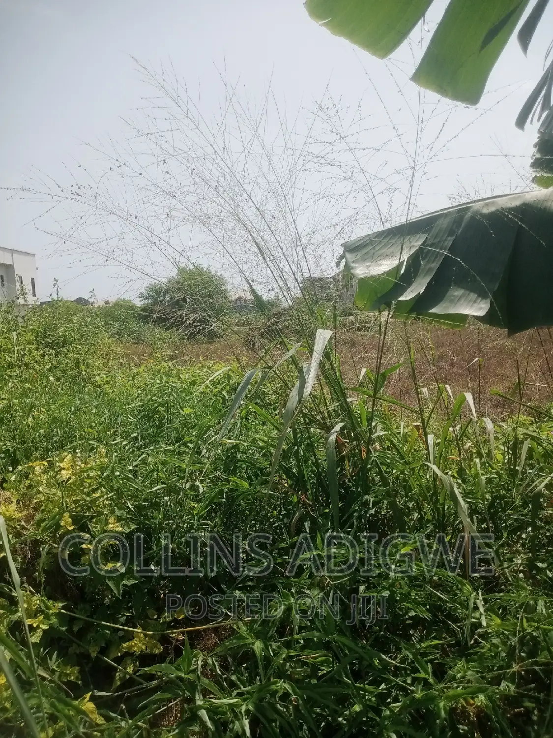 1500sqm Land at Royal Garden Estate -Ajah
