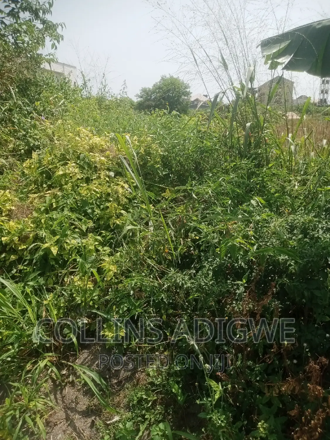 1500sqm Land at Royal Garden Estate -Ajah