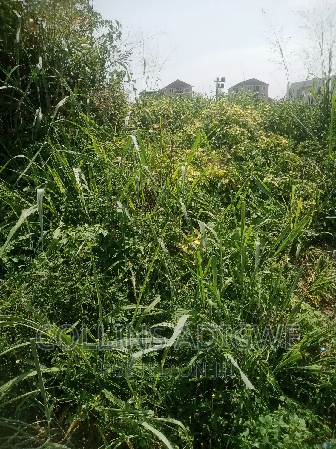 1500sqm Land at Royal Garden Estate -Ajah