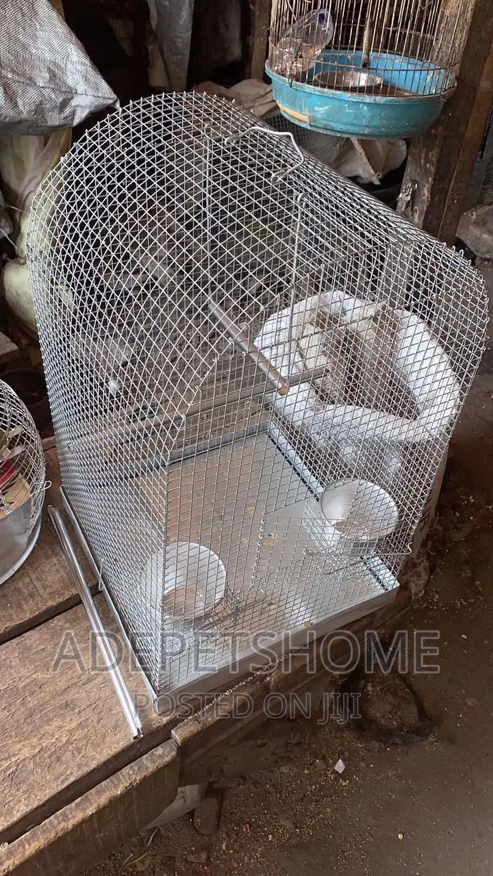 Parrot Cage for Sale