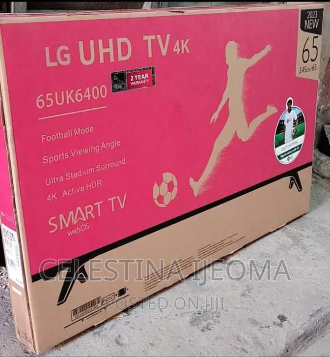 65" LG Smart TV