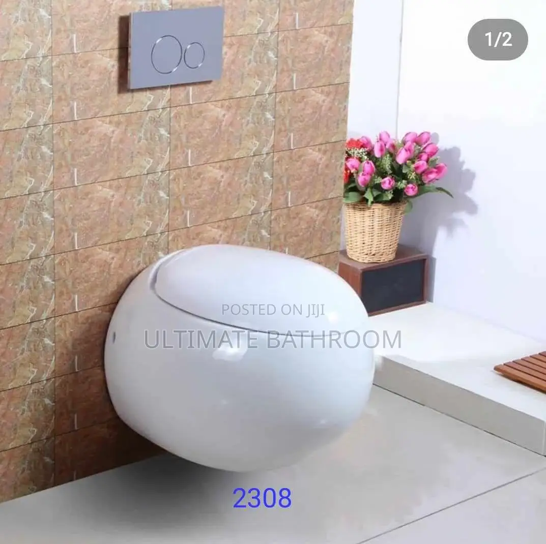 Egg Shape White Conceal Watercloset