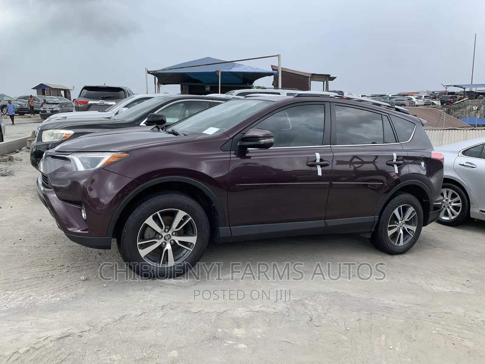 Toyota RAV4 XLE Premium AWD 2019 Burgundy