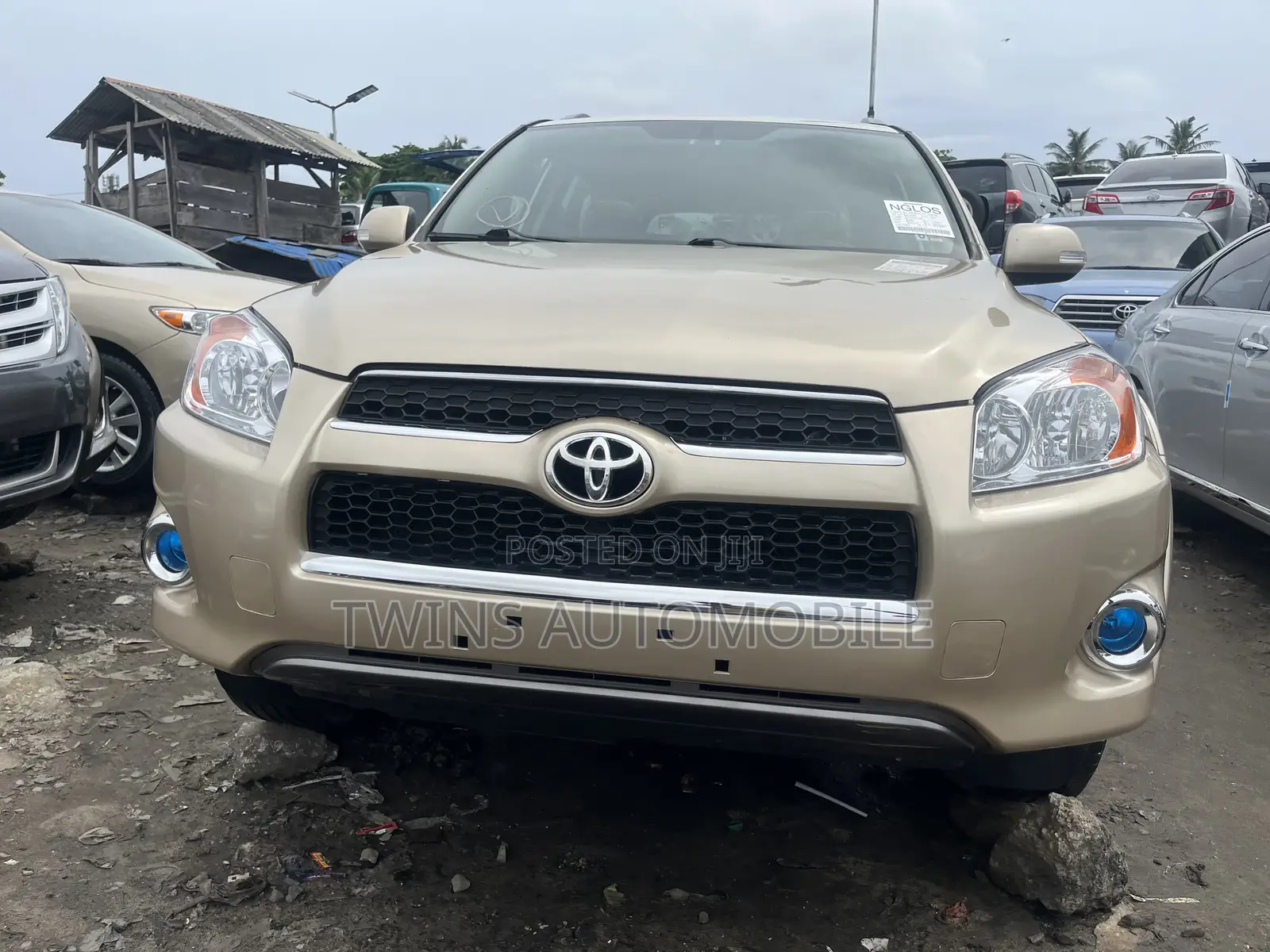 Toyota RAV4 2.5 Limited 2010 Gold