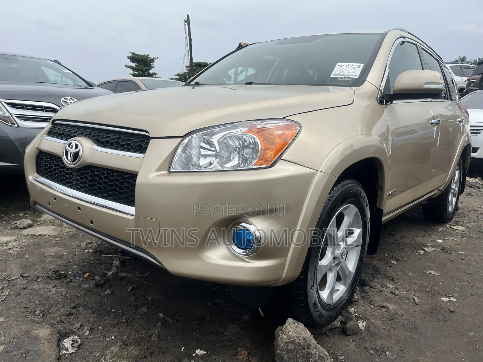 Toyota RAV4 2.5 Limited 2010 Gold