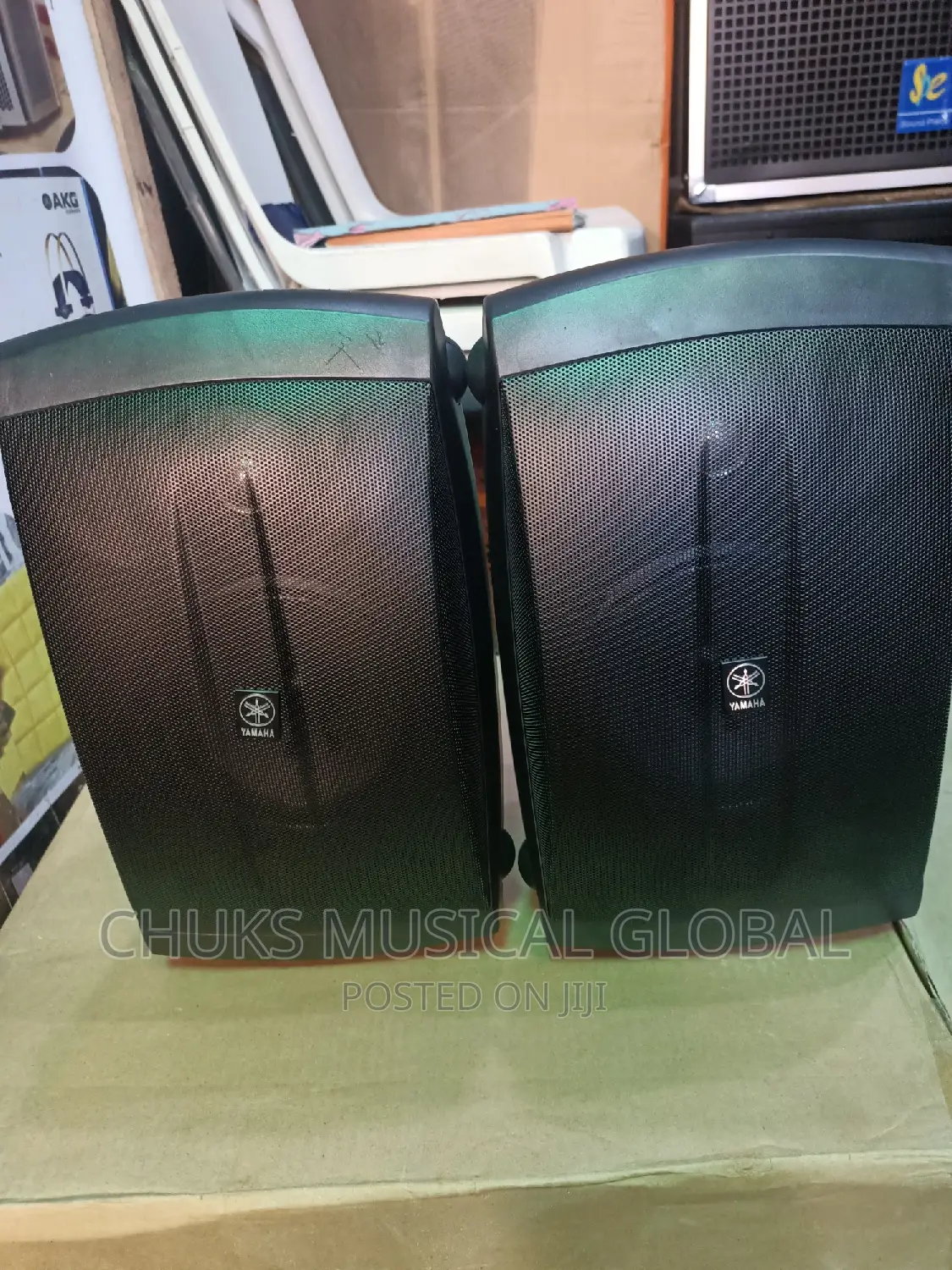 Yamaha Outdoor Speaker