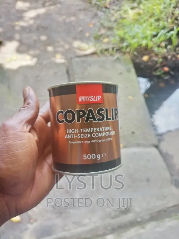 Molyslip 500G Copaslip Grease Compound