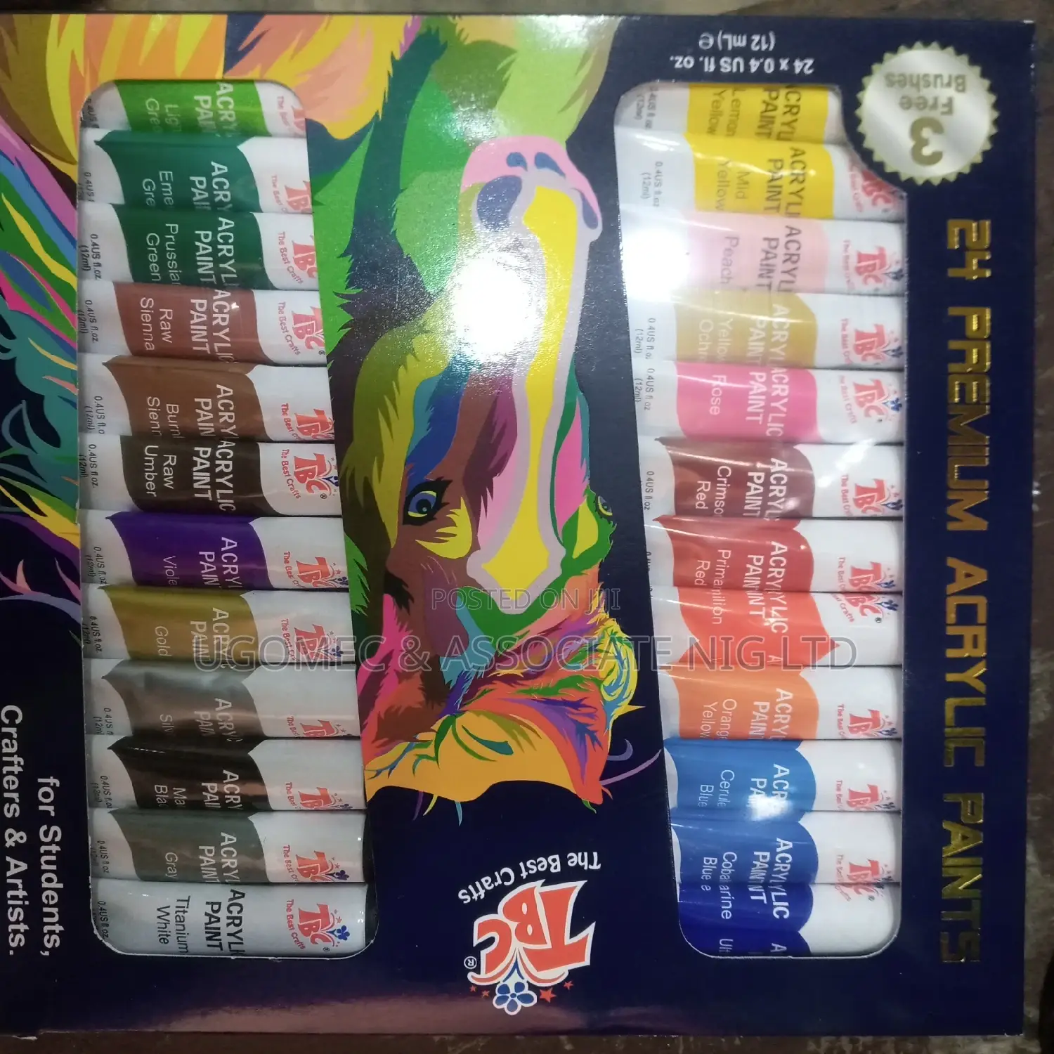 Acrylic Set Paint by 24 Colours