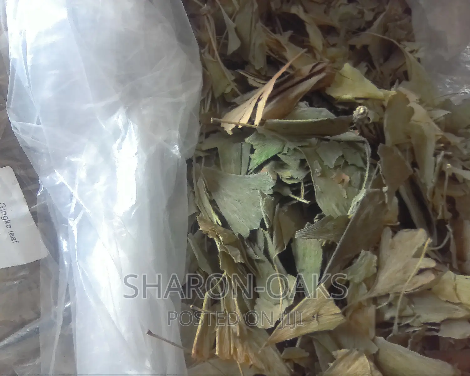 Gingko Leaf. (100g)