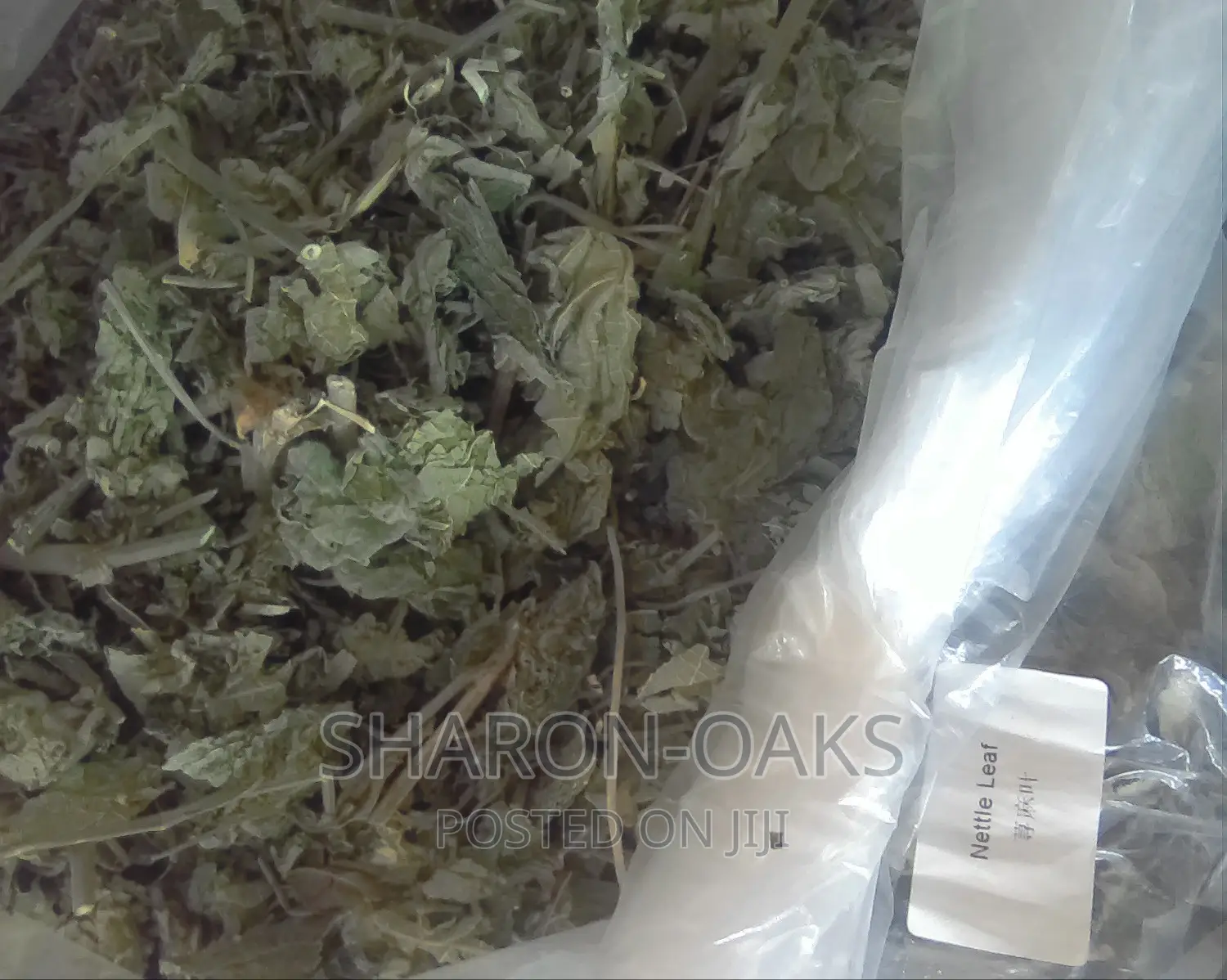 Nettle Leaf (1kg)