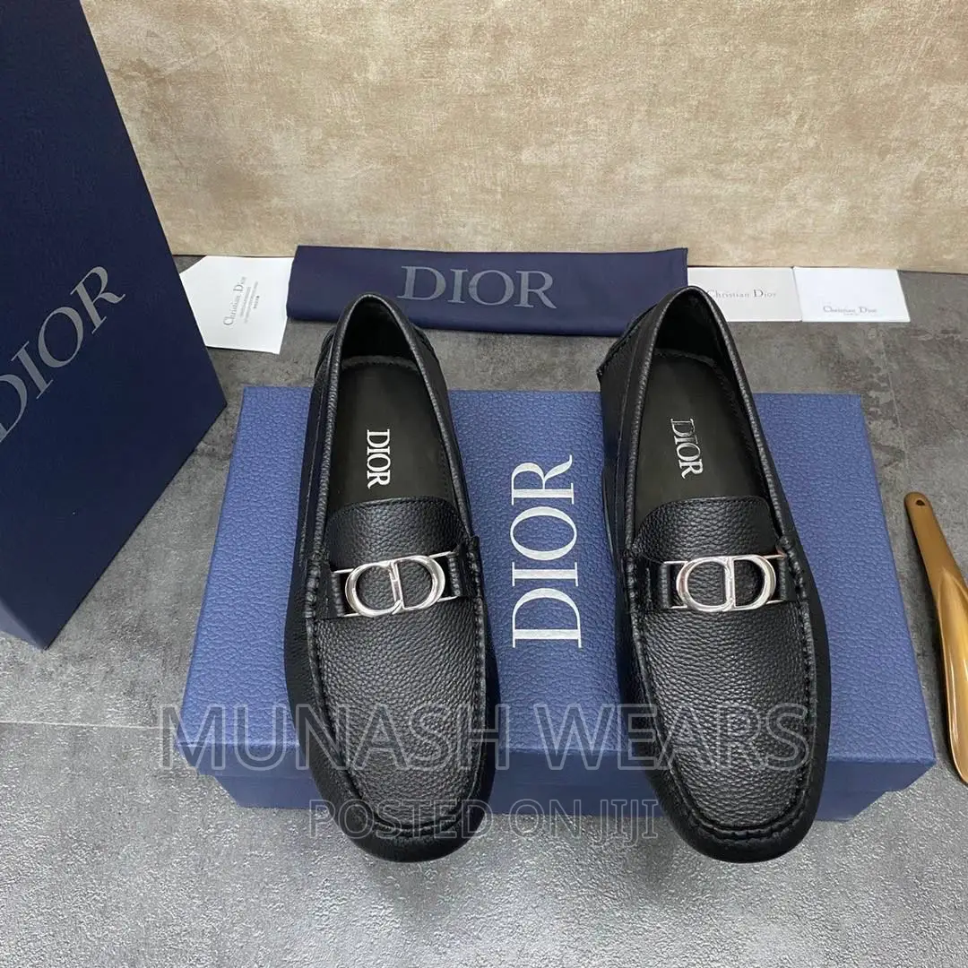 Christian Dior Luxury Shoe