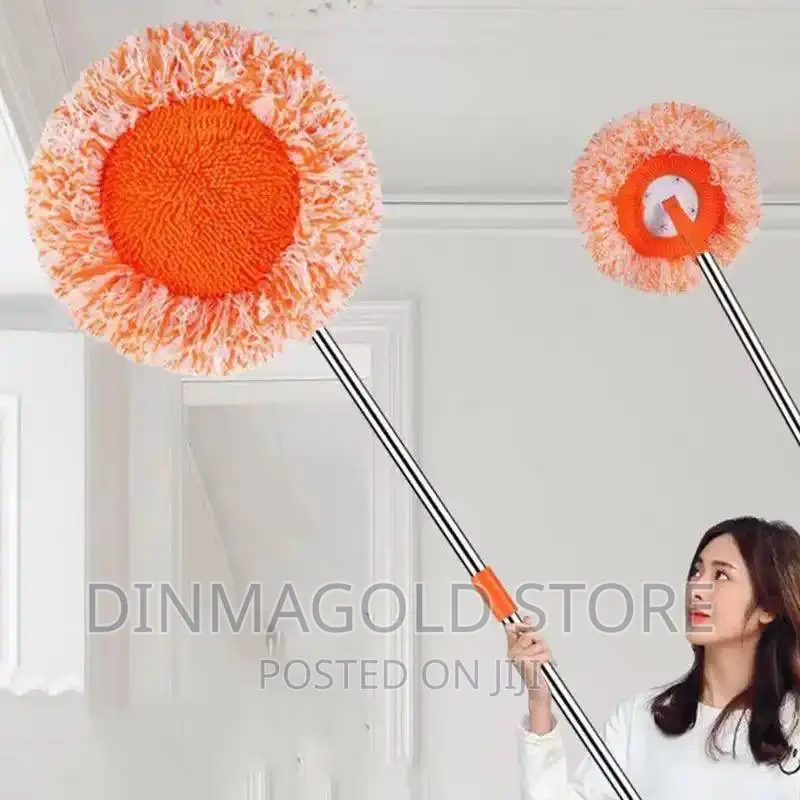 Mop for Dust Removal