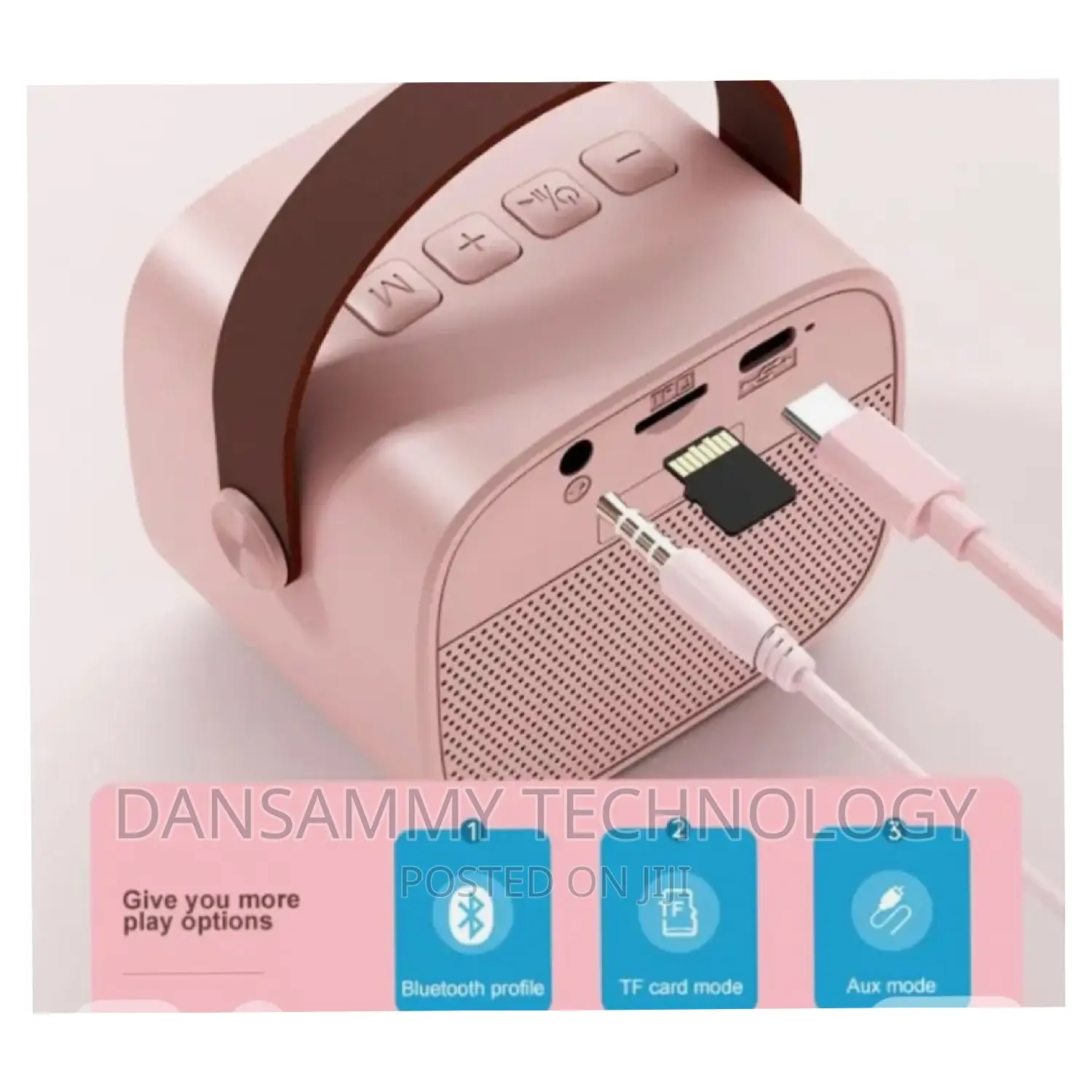 COLSUR Karaoke Speaker With 2 Pieces of Microphone
