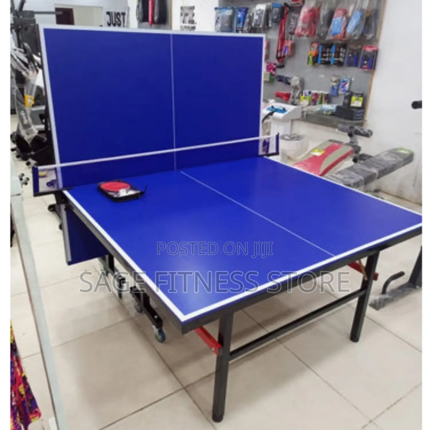 Indoor Table Tennis (Foldable Board)