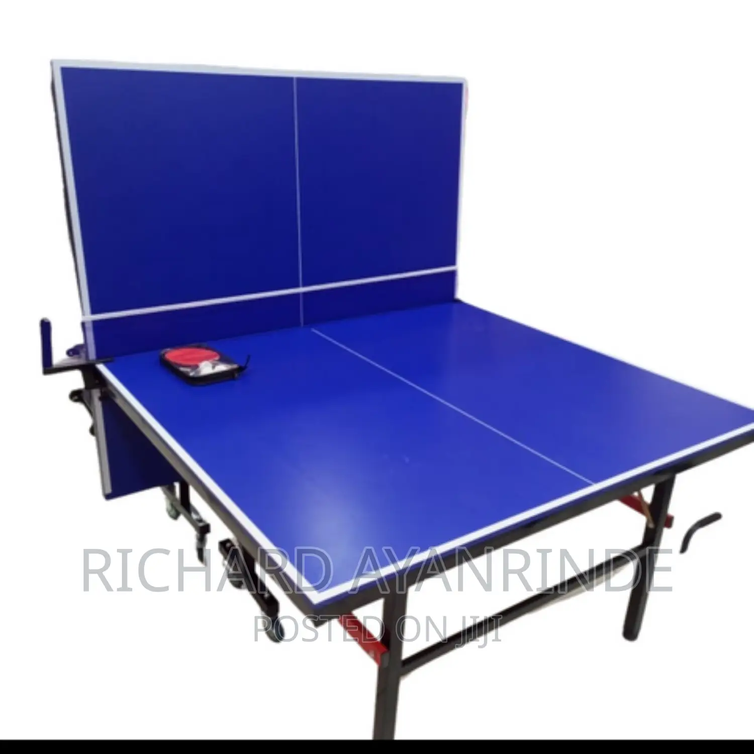 Indoor Table Tennis (Foldable Board)