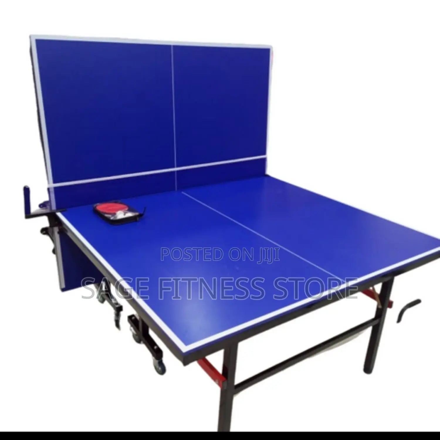 Indoor Table Tennis (Foldable Board)