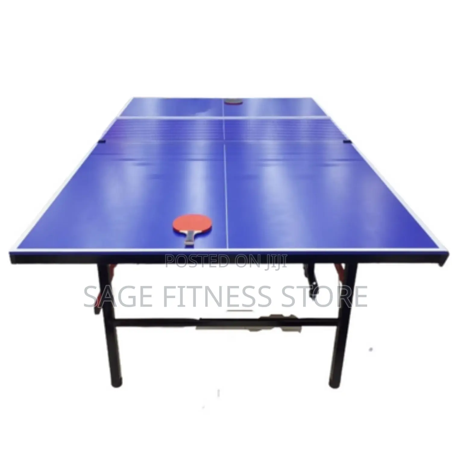 Indoor Table Tennis (Foldable Board)