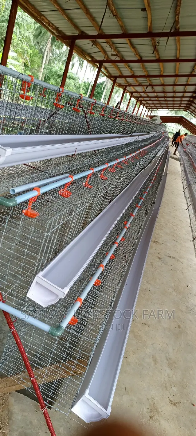 Poultry Cage