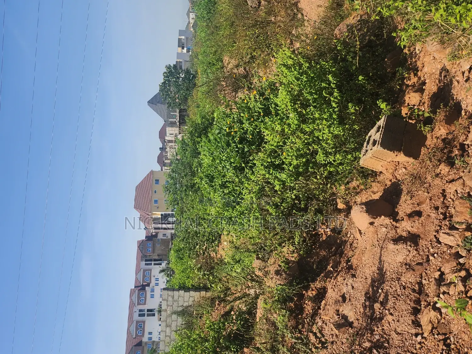 Certificate of Occupancy