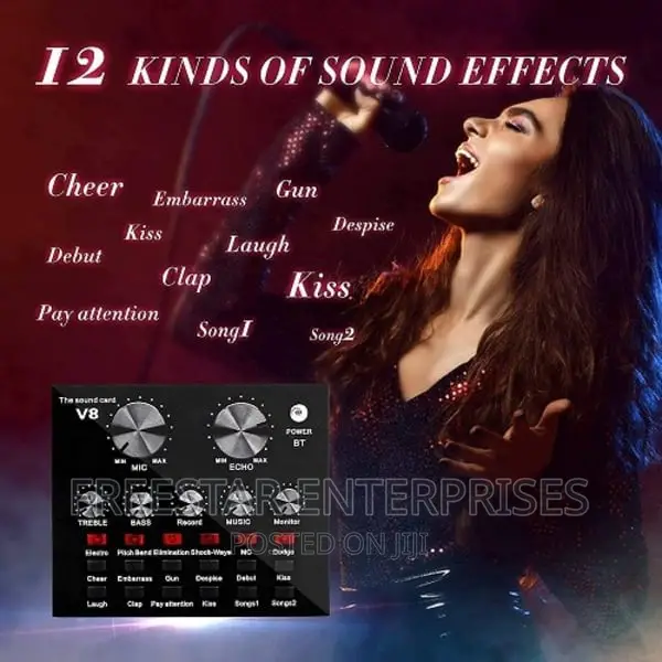 Professional Condenser Studio Microphone Live Sound Card