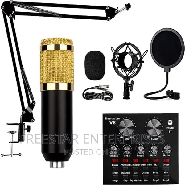 Professional Condenser Studio Microphone Live Sound Card