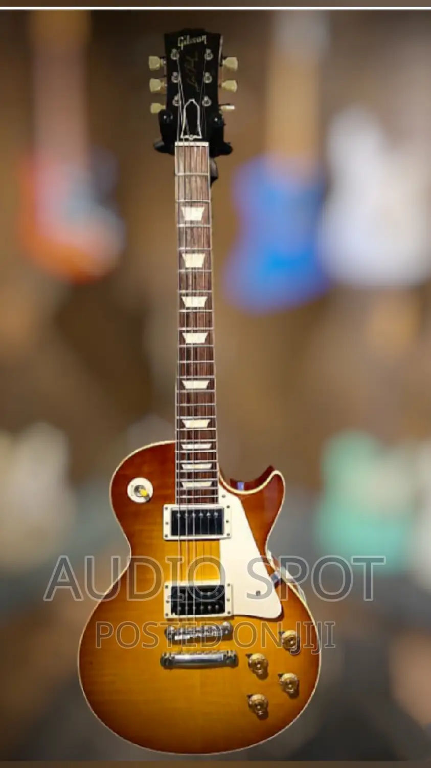 GIBSON USA Les Paul Standard Professional Guitar