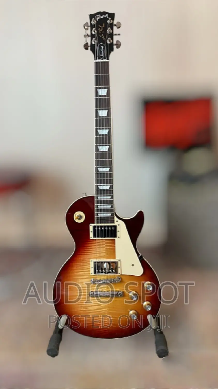 GIBSON USA Les Paul Standard Professional Guitar