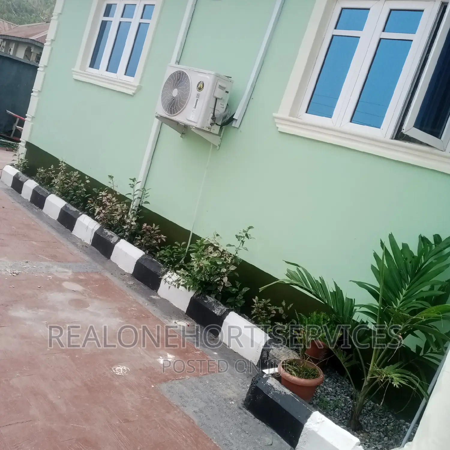 Hedges Flower, Indoor Plant, Medicinal Plants Nursery