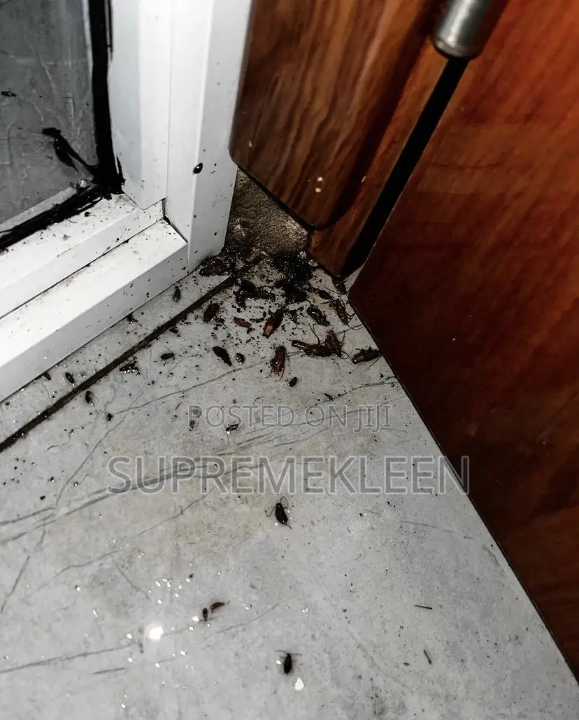 Call Us to Get Rid of Stubborn Pests Fumigation Service