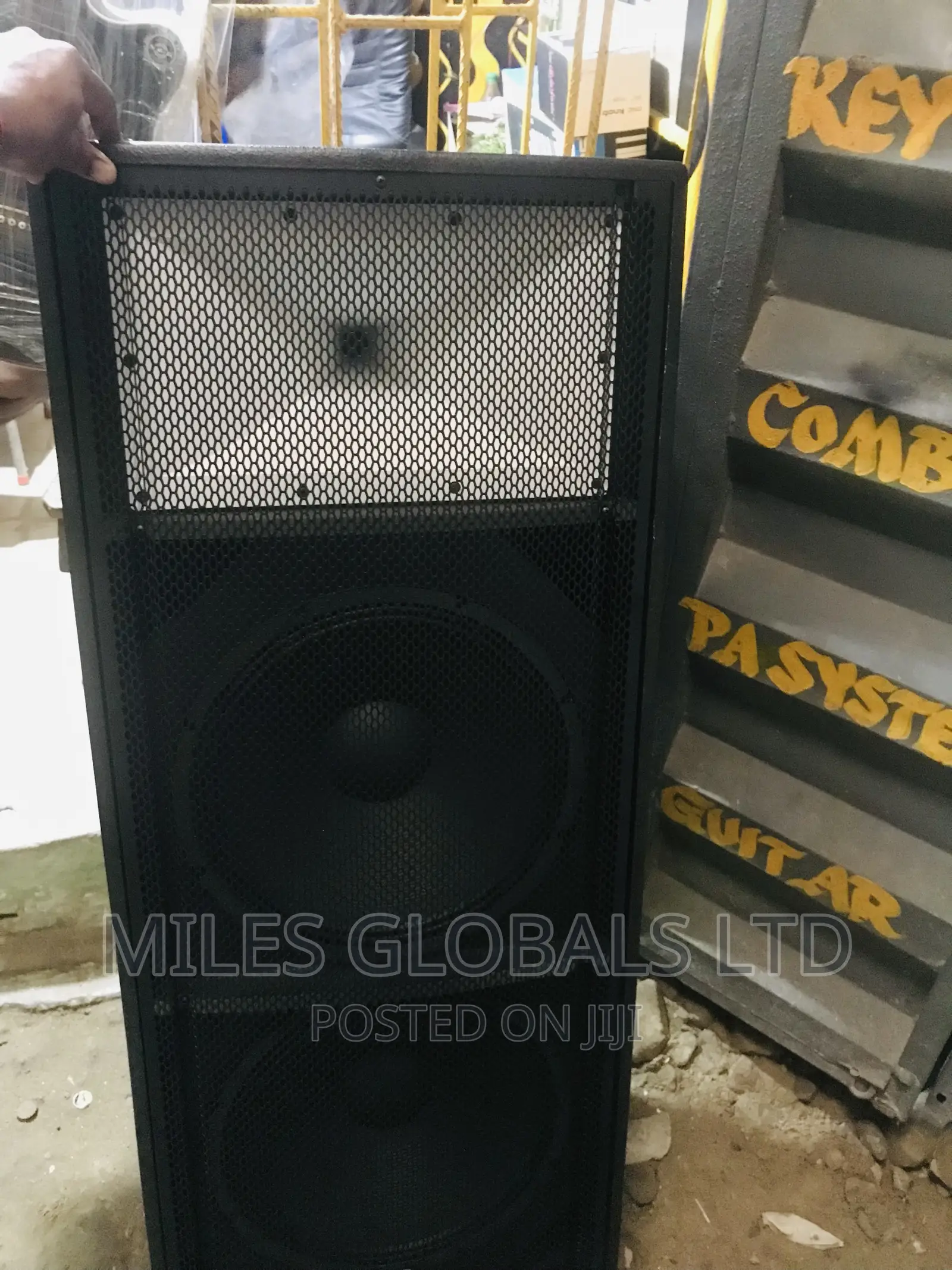 Professional Full Range Speaker