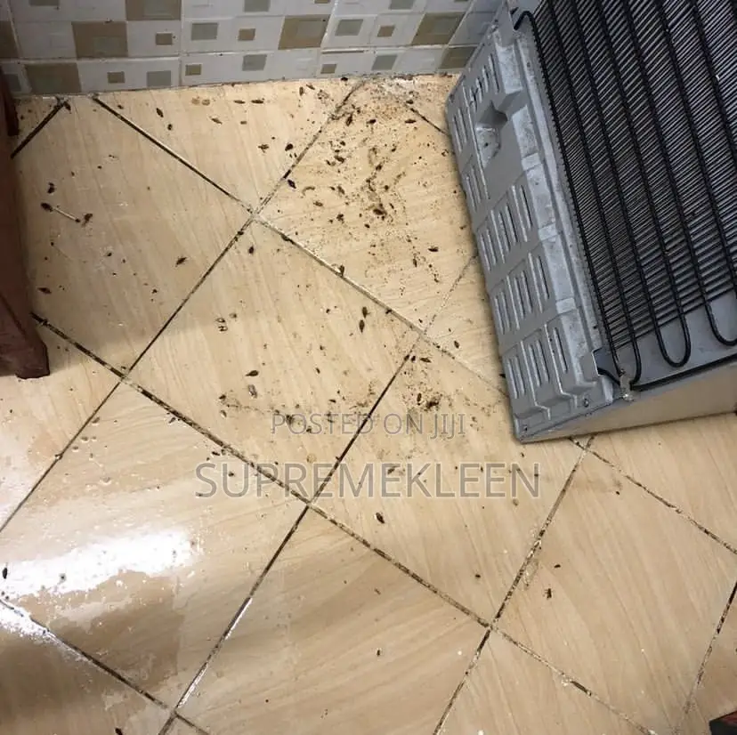Professional Pest Control Fumigation Services in Ajah