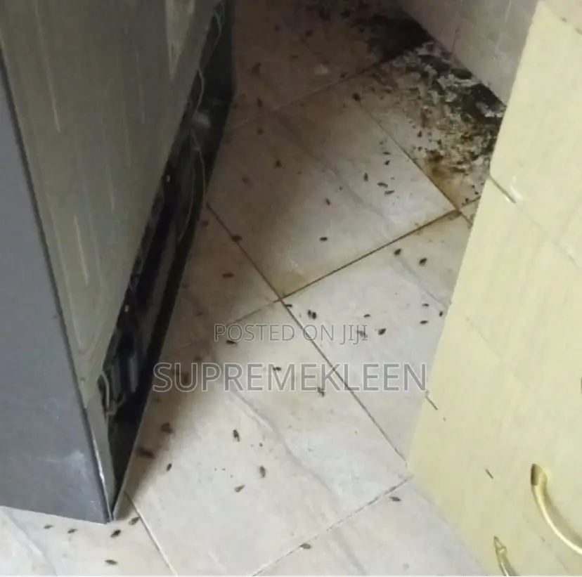 Professional Pest Control Fumigation Services in Ajah