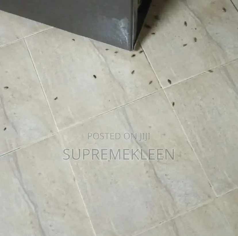 Professional Pest Control Fumigation Services in Ajah