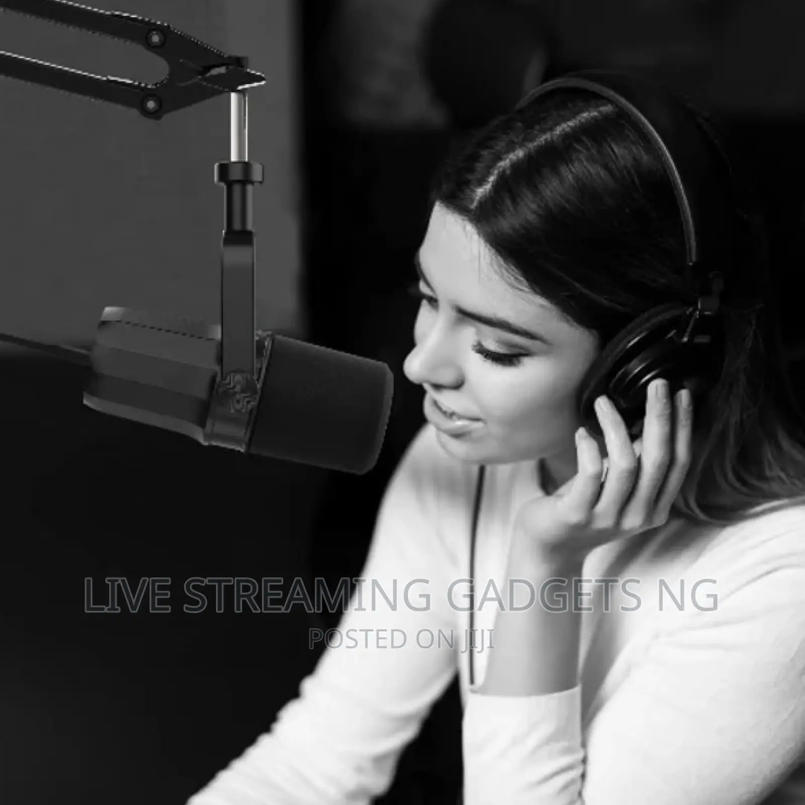 Ztt20 / Fduce Sl40 Podcast Mic