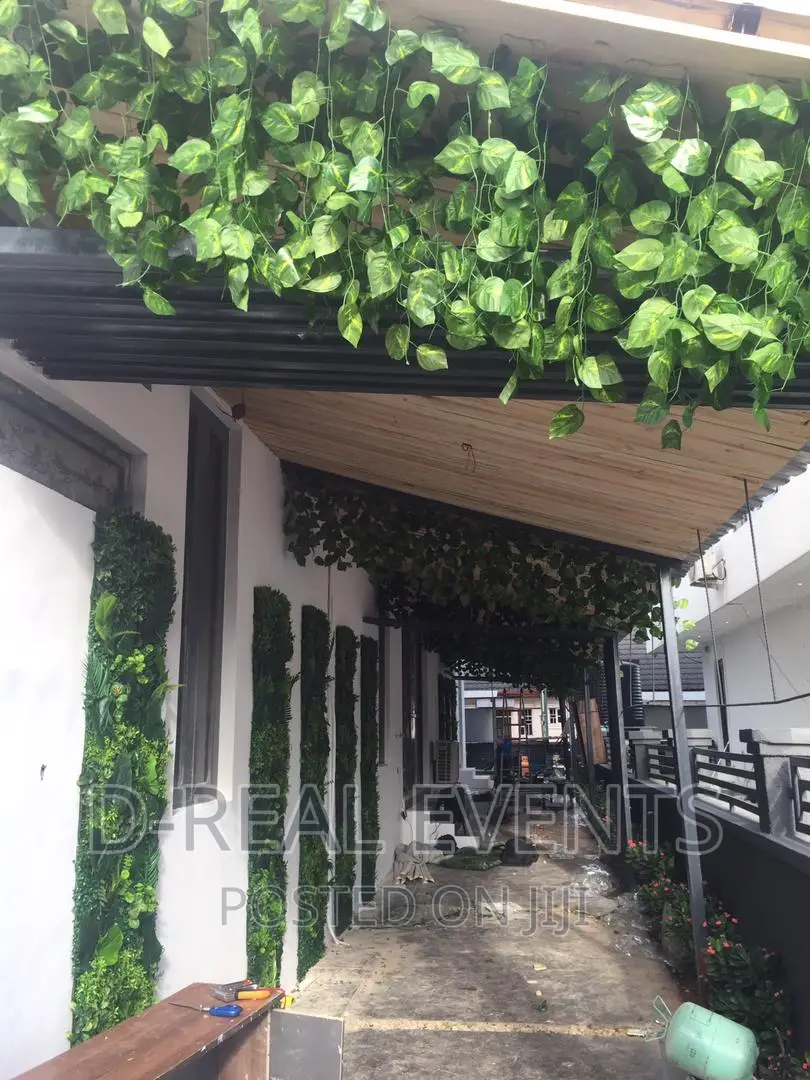 Party Rentals , Carpet Grass