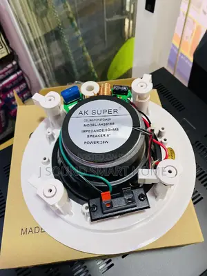 25watts Crossover Ceiling Speakers