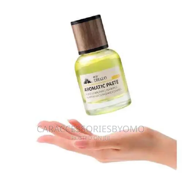 Car Air Freshener A15