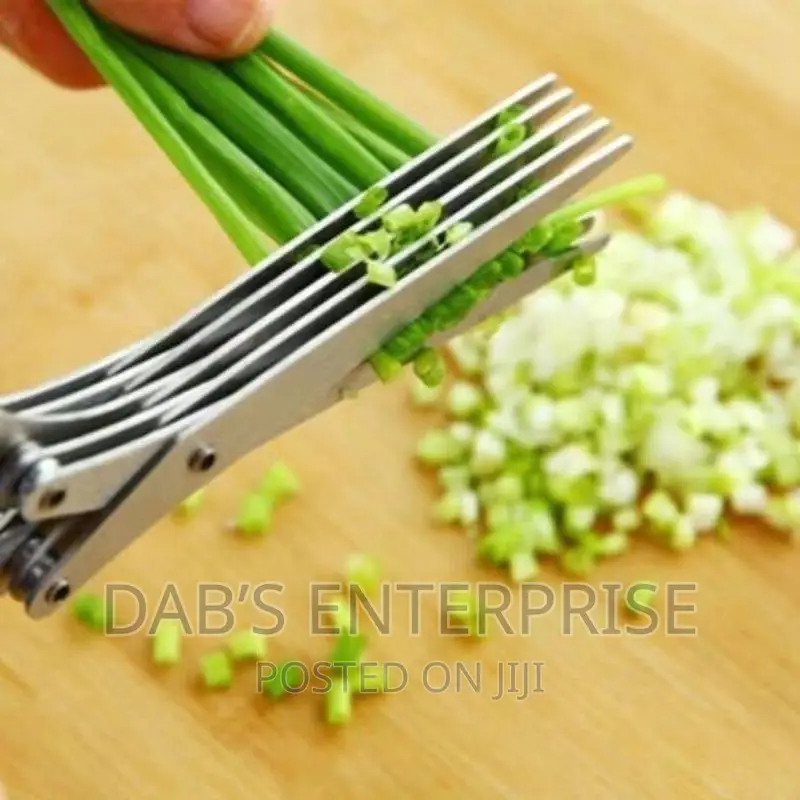 5 Blade Multipurpose Kitchen Scissors